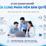Vi phạm bản quyền phần mềm Doanh nghiệp cần biết gì?