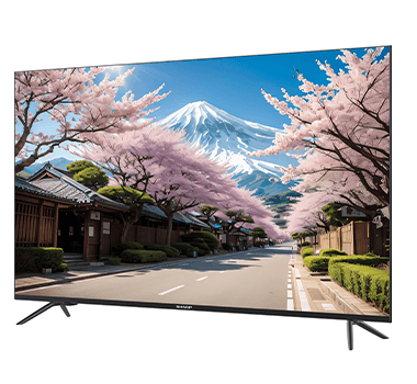 Smart Tivi Sharp 4K 55 inch 4T-C55FM2X