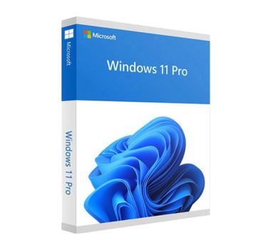 Microsoft Windows 11 Pro